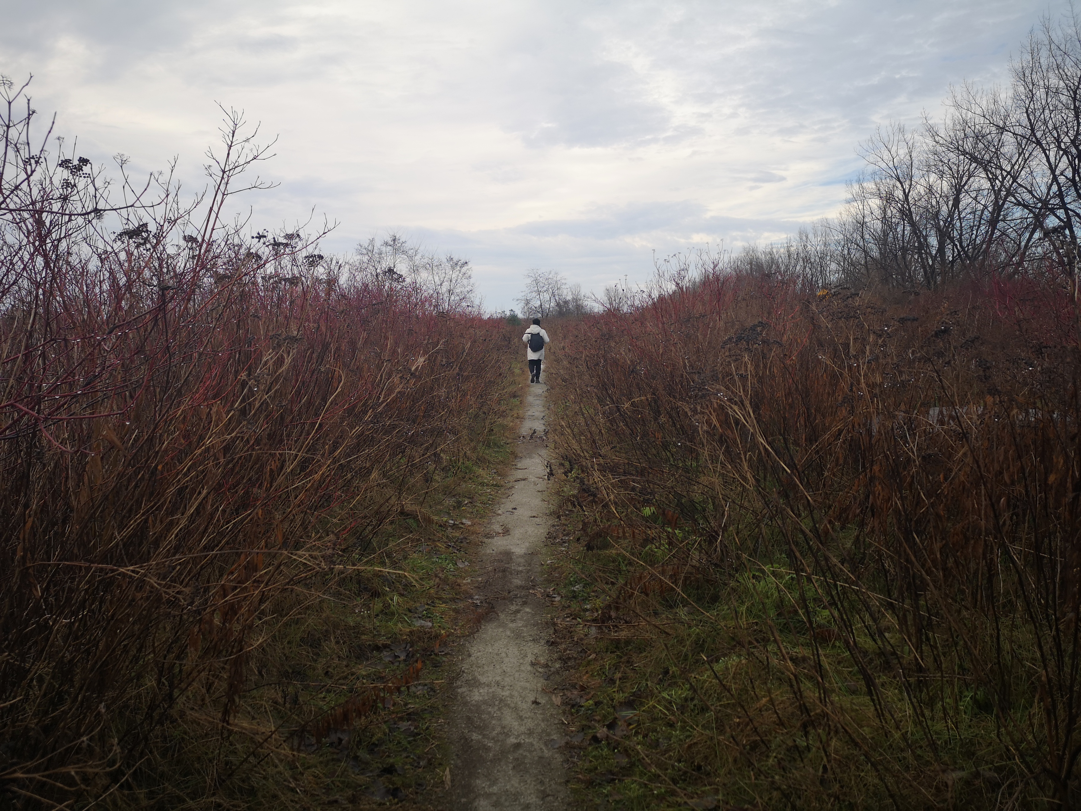 Transit glow — motion and warm interiors.